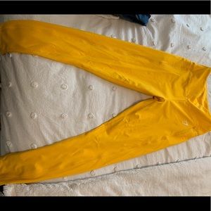 Gym shark Leggings in Yellow